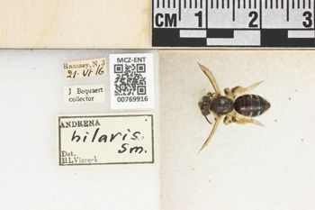 Media type: image;   Entomology 769916 Aspect: Labels